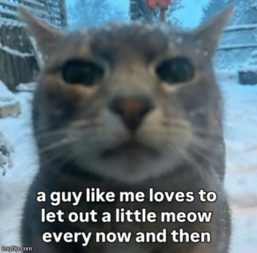Good morning chat | made w/ Imgflip meme maker