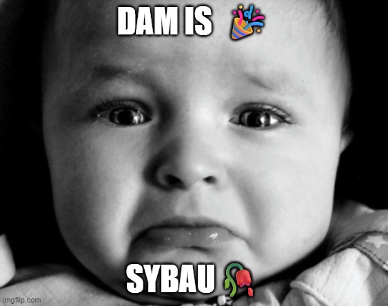 they should reset | DAM IS  🎉; SYBAU🥀 | image tagged in memes,sad baby | made w/ Imgflip meme maker