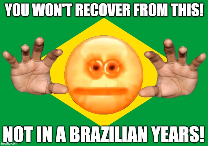 YOU WON'T RECOVER FROM THIS! NOT IN A BRAZILIAN YEARS! | image tagged in flag of brazil | made w/ Imgflip meme maker