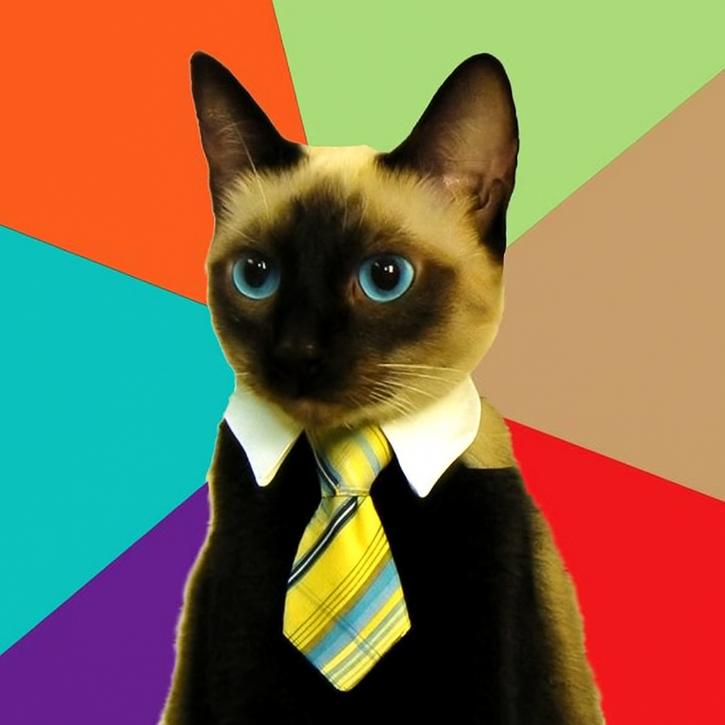 Siamese Office Cat Blank Meme Template