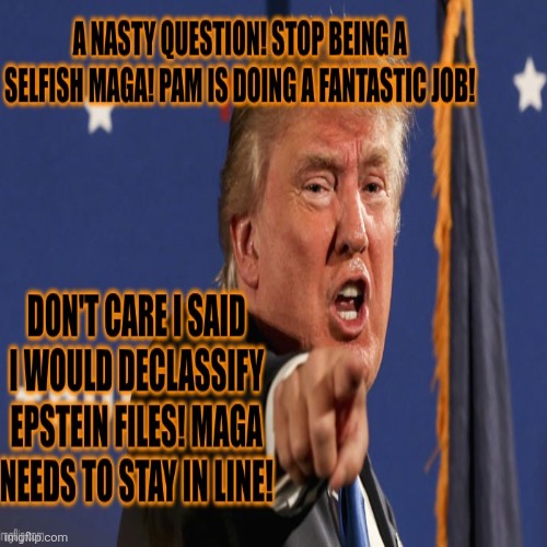 Question is ~ Will Trump's little maga lambs do what they're told? | image tagged in donald trump,maga,epstein,revolt,bondi,staying | made w/ Imgflip meme maker
