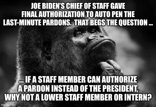 thinking monkey | JOE BIDEN’S CHIEF OF STAFF GAVE FINAL AUTHORIZATION TO AUTO PEN THE LAST-MINUTE PARDONS.  THAT BEGS THE QUESTION …; … IF A STAFF MEMBER CAN AUTHORIZE A PARDON INSTEAD OF THE PRESIDENT, WHY NOT A LOWER STAFF MEMBER OR INTERN? | image tagged in thinking monkey | made w/ Imgflip meme maker