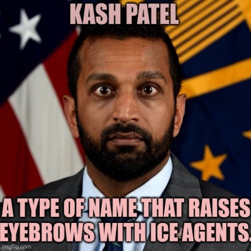 Pointing out the hypocrisy of a seemingly DEI choice for such a fascist administration. | image tagged in trump,maga,dei,fascist,ice,immigrant | made w/ Imgflip meme maker