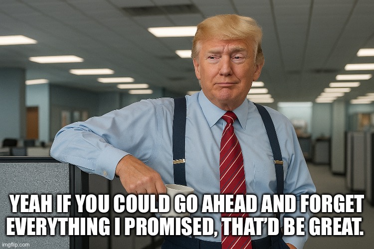That’d be great | YEAH IF YOU COULD GO AHEAD AND FORGET EVERYTHING I PROMISED, THAT’D BE GREAT. | image tagged in politics,trump | made w/ Imgflip meme maker