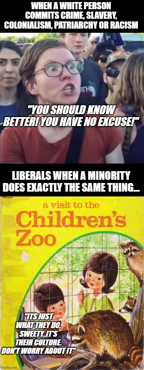 The obscene underlying racism of Liberal perspectives in the behaviour of varying groups | WHEN A WHITE PERSON COMMITS CRIME, SLAVERY, COLONIALISM, PATRIARCHY OR RACISM; "YOU SHOULD KNOW BETTER! YOU HAVE NO EXCUSE!"; LIBERALS WHEN A MINORITY DOES EXACTLY THE SAME THING... "ITS JUST WHAT THEY DO, SWEETY..IT'S THEIR CULTURE. DON'T WORRY ABOUT IT" | image tagged in angry liberal | made w/ Imgflip meme maker