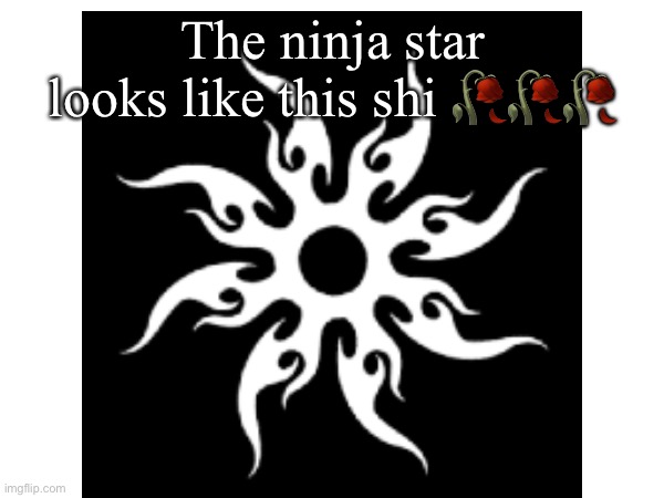 The ninja star looks like this shi ??? | made w/ Imgflip meme maker