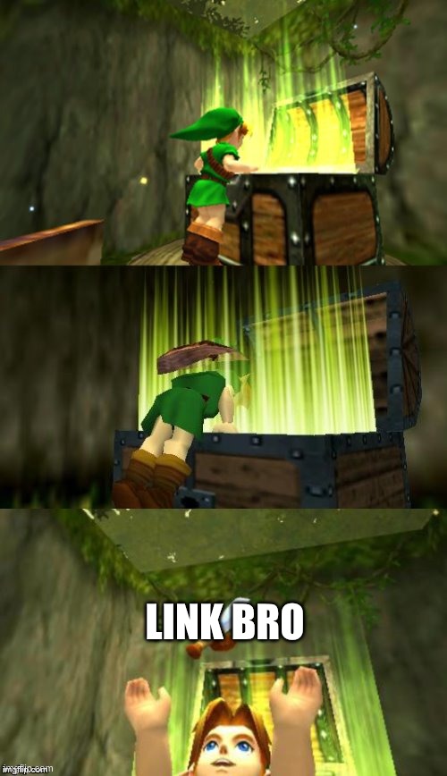 Link Gets Item | LINK BRO | image tagged in link gets item | made w/ Imgflip meme maker