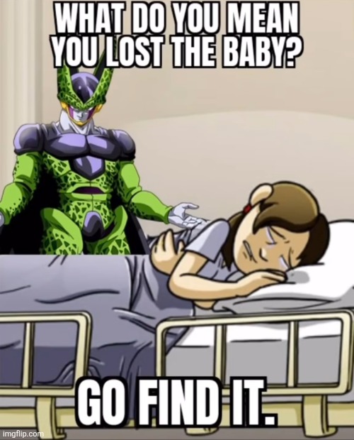 Wdym you lost the baby? Go find it | image tagged in wdym you lost the baby go find it | made w/ Imgflip meme maker