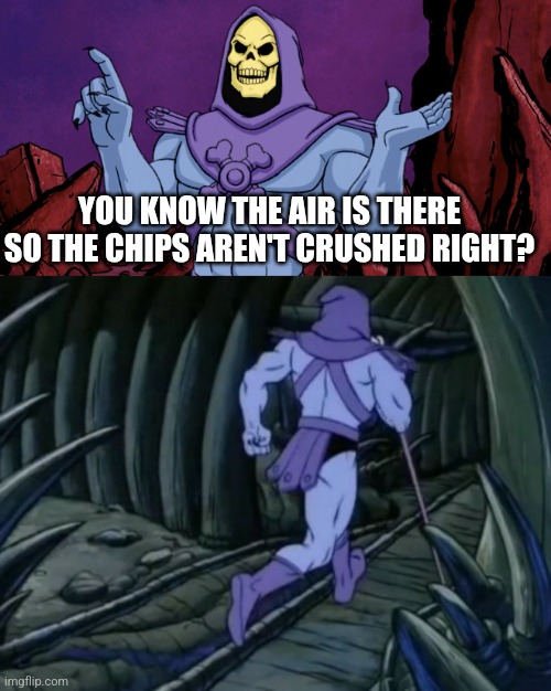 Skeletor until we meet again | YOU KNOW THE AIR IS THERE SO THE CHIPS AREN'T CRUSHED RIGHT? | image tagged in skeletor until we meet again | made w/ Imgflip meme maker