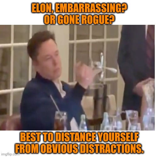 Blank Transparent Square Meme | ELON, EMBARRASSING?
OR GONE ROGUE? BEST TO DISTANCE YOURSELF FROM OBVIOUS DISTRACTIONS. | image tagged in memes,blank transparent square | made w/ Imgflip meme maker