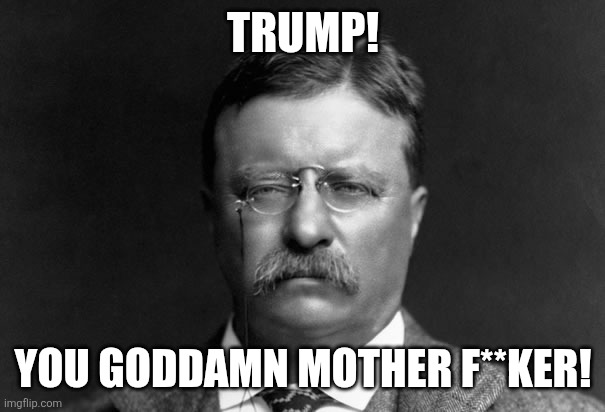 Serious Teddy Roosevelt | TRUMP! YOU GODDAMN MOTHER F**KER! | image tagged in serious teddy roosevelt | made w/ Imgflip meme maker