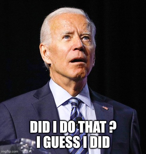 Joe Biden | DID I DO THAT ?
I GUESS I DID | image tagged in joe biden | made w/ Imgflip meme maker