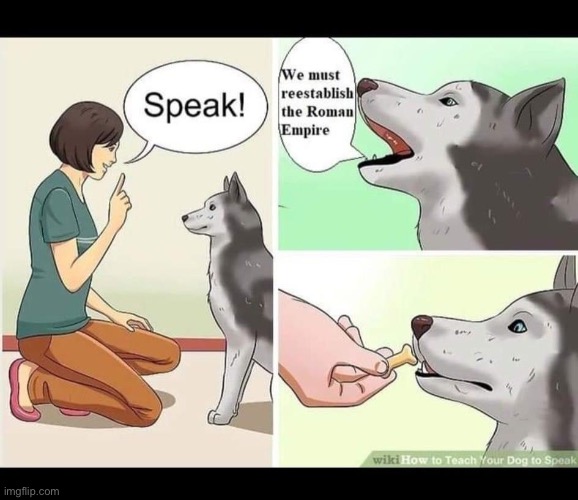 Do you agree | image tagged in re-establish the roman empire | made w/ Imgflip meme maker