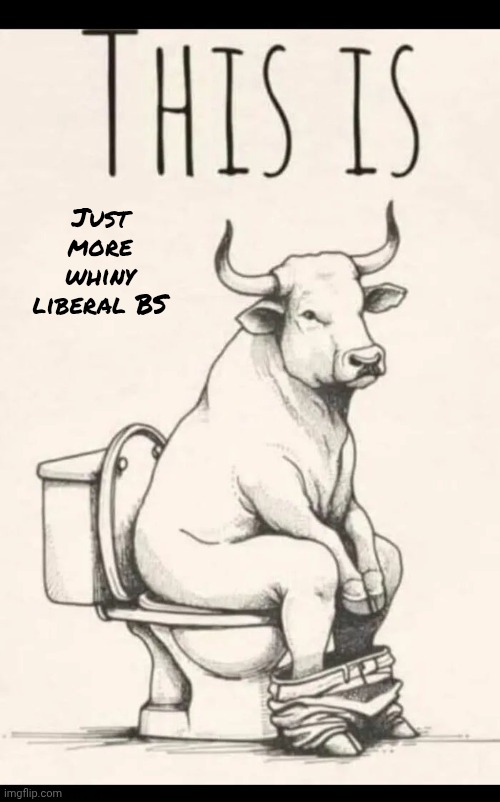 Just more whiny liberal BS | made w/ Imgflip meme maker
