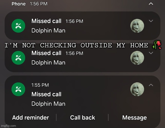 Dolphin man vs Jim schoolenburg reference | I'M NOT CHECKING OUTSIDE MY HOME 🥀 | image tagged in dolphin man meme,screenshot,cursed screenshot,dolph ziggler sells,cooked | made w/ Imgflip meme maker