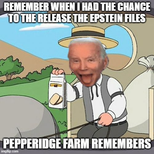Drag the Feet Joe | REMEMBER WHEN I HAD THE CHANCE TO THE RELEASE THE EPSTEIN FILES; PEPPERIDGE FARM REMEMBERS | image tagged in memes,pepperidge farm remembers | made w/ Imgflip meme maker