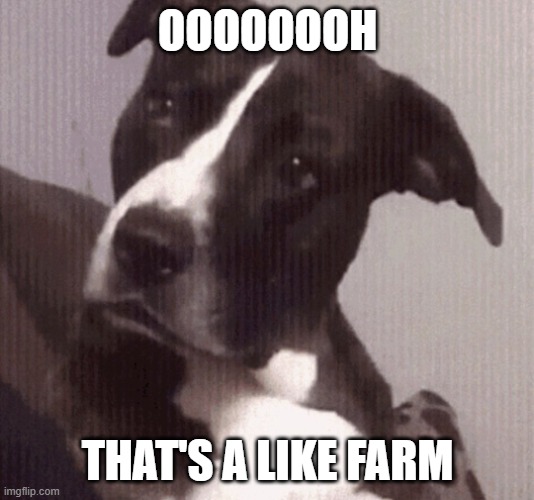 Dog Stare "Ooooh" | OOOOOOOH THAT'S A LIKE FARM | image tagged in dog stare ooooh | made w/ Imgflip meme maker