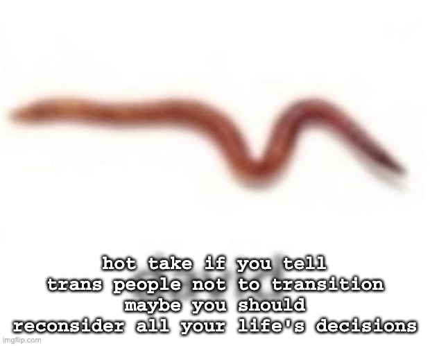 david | hot take if you tell trans people not to transition maybe you should reconsider all your life's decisions | image tagged in david | made w/ Imgflip meme maker