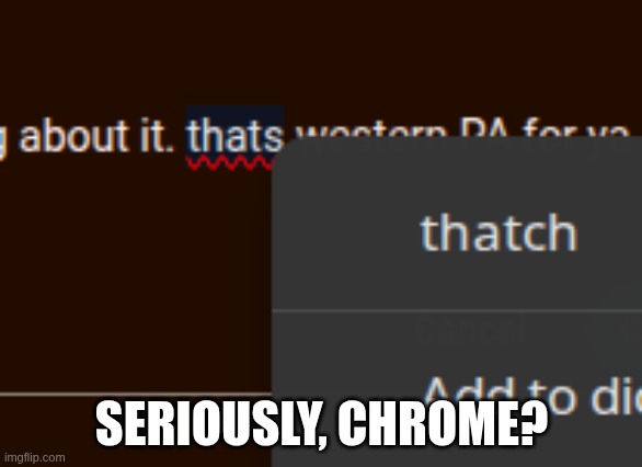 Updated chrome today and... | SERIOUSLY, CHROME? | image tagged in chrome,google chrome,chromebook,google,spell check | made w/ Imgflip meme maker
