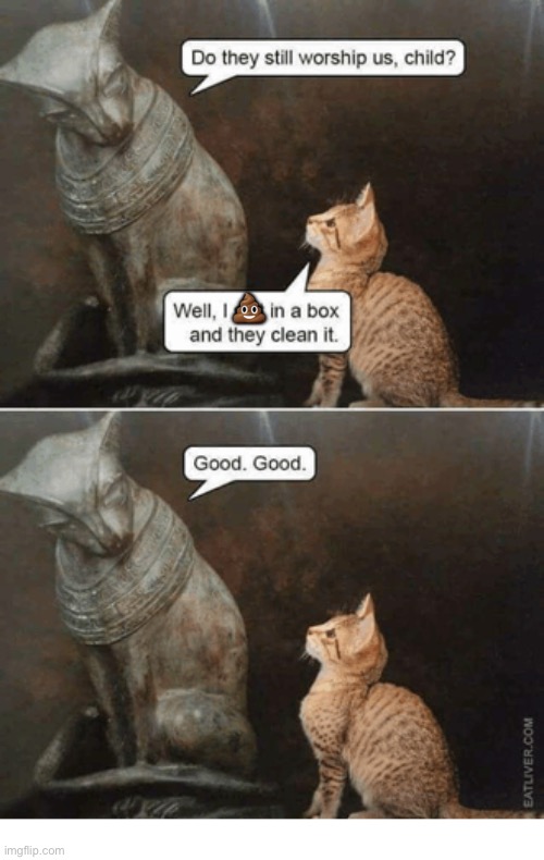 We’re not worthy… | 💩 | image tagged in cats,elders,cat worship | made w/ Imgflip meme maker