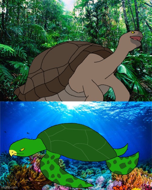 Different shelled reptiles in different places.mp3 | image tagged in isla phanero,paleoverse,eoiverse | made w/ Imgflip meme maker