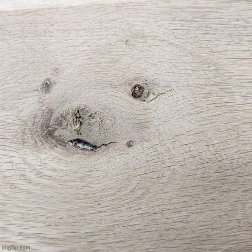 If you're right-brained, you'll see a hummingbird. If you're left-brained, you'll see 500 gay bears. What do you see? | made w/ Imgflip meme maker