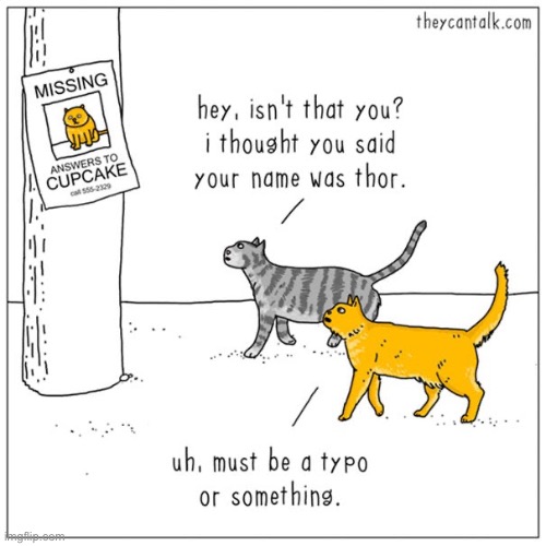 Cupcake is his “inside name”… | image tagged in cats,other name,comics/cartoons | made w/ Imgflip meme maker