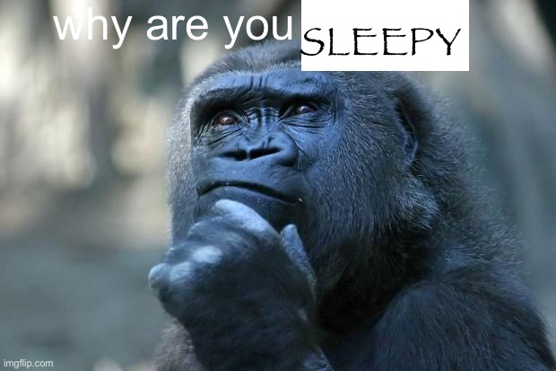 Deep Thoughts | why are you SLEEPY | image tagged in deep thoughts | made w/ Imgflip meme maker