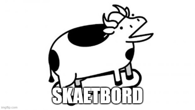 Skateboards Cow | SKAETBORD | image tagged in skateboards cow | made w/ Imgflip meme maker