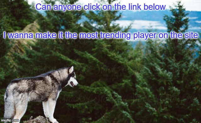 Check comments | Can anyone click on the link below

  

 

I wanna make it the most trending player on the site | image tagged in husky | made w/ Imgflip meme maker