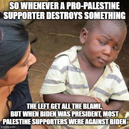 Trump got more muslim votes in the election | SO WHENEVER A PRO-PALESTINE SUPPORTER DESTROYS SOMETHING; THE LEFT GET ALL THE BLAME, BUT WHEN BIDEN WAS PRESIDENT, MOST PALESTINE SUPPORTERS WERE AGAINST BIDEN | image tagged in memes,third world skeptical kid | made w/ Imgflip meme maker