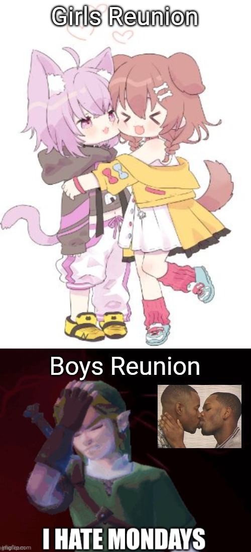 Literally what I thought | Girls Reunion; Boys Reunion | image tagged in inugami korone nekomata okayu hug,fun,funny memes,memes,the legend of zelda,relatable | made w/ Imgflip meme maker