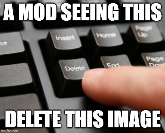 Delete | A MOD SEEING THIS; DELETE THIS IMAGE | image tagged in delete | made w/ Imgflip meme maker