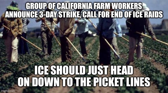 Mexican Farm Workers farmer JPP | GROUP OF CALIFORNIA FARM WORKERS ANNOUNCE 3-DAY STRIKE, CALL FOR END OF ICE RAIDS; ICE SHOULD JUST HEAD ON DOWN TO THE PICKET LINES | image tagged in mexican farm workers farmer jpp | made w/ Imgflip meme maker