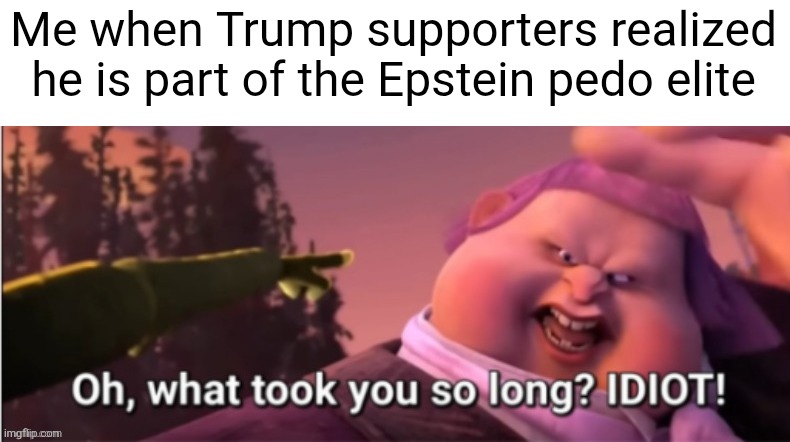 After several old photos of him with Epstein were made public years before only now they are realizing | Me when Trump supporters realized he is part of the Epstein pedo elite | image tagged in oh what took you so long idiot,donald trump,jeffrey epstein,pedophiles,conservative logic,stupidity | made w/ Imgflip meme maker