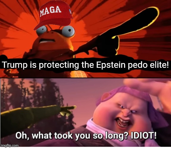 Trump supporters really recently showed how oblivious they are | Trump is protecting the Epstein pedo elite! | image tagged in jack horner is an irredeemable monster,donald trump,jeffrey epstein,pedophiles,conservative logic,stupidity | made w/ Imgflip meme maker