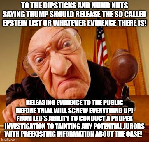 People give a 100 reasons why to release any info. . .I just gave 2 reasons why not do. | TO THE DIPSTICKS AND NUMB NUTS SAYING TRUMP SHOULD RELEASE THE SO CALLED EPSTEIN LIST OR WHATEVER EVIDENCE THERE IS! RELEASING EVIDENCE TO THE PUBLIC BEFORE TRIAL WILL SCREW EVERYTHING UP! FROM LEO'S ABILITY TO CONDUCT A PROPER INVESTIGATION TO TAINTING ANY POTENTIAL JURORS WITH PREEXISTING INFORMATION ABOUT THE CASE! | image tagged in mean judge,jeffrey epstein,donald trump,law and order,political meme,politics | made w/ Imgflip meme maker