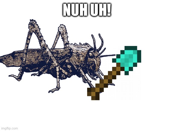 Blank White Template | NUH UH! | image tagged in blank white template | made w/ Imgflip meme maker