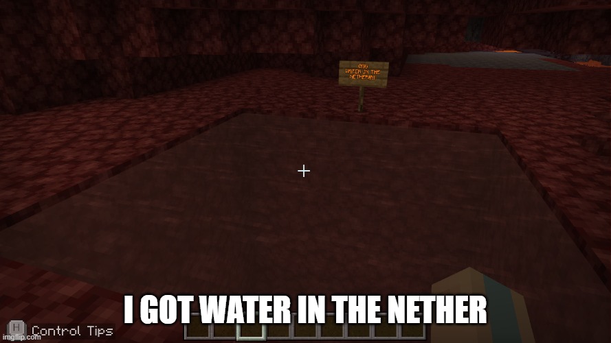 no mods | I GOT WATER IN THE NETHER | image tagged in minecraft | made w/ Imgflip meme maker