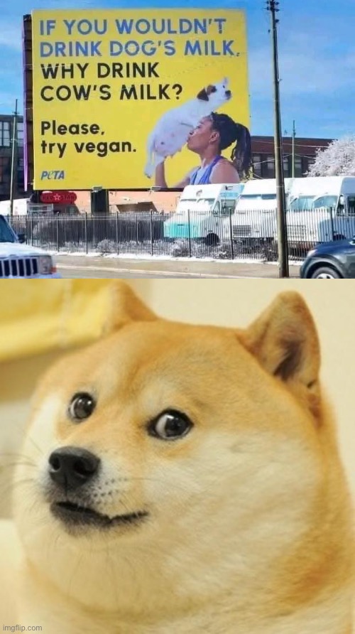 Dog milk | image tagged in memes,doge | made w/ Imgflip meme maker