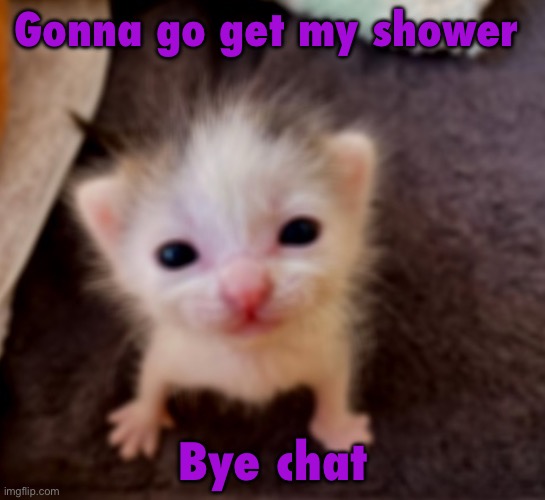 Silly goober :3 | Gonna go get my shower; Bye chat | image tagged in silly goober 3 | made w/ Imgflip meme maker