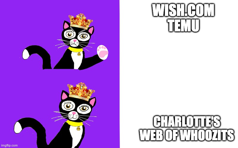 Charlotte's Web of Whoozits meme | WISH.COM
TEMU; CHARLOTTE'S WEB OF WHOOZITS | image tagged in charlotte's web of whoozits,hotline bling | made w/ Imgflip meme maker