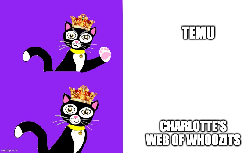 Charlotte's Web of Whoozits Hotline Bling | TEMU; CHARLOTTE'S WEB OF WHOOZITS | image tagged in charlotte's web of whoozits,hotline bling | made w/ Imgflip meme maker