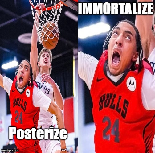 posterize_immortalize | IMMORTALIZE; Posterize | image tagged in viral meme,nba,dunk,retirement,flex,embarrassing | made w/ Imgflip meme maker