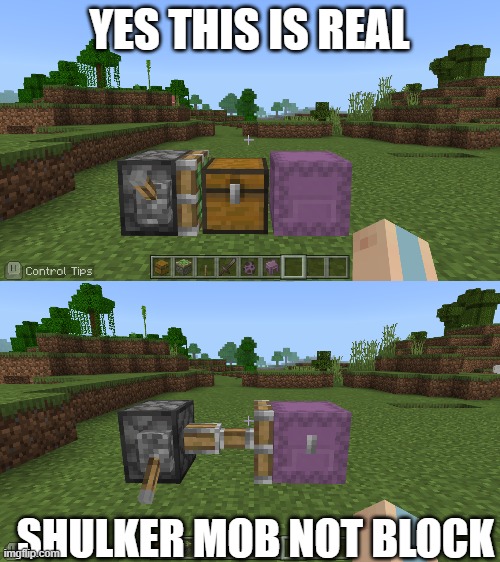 real | YES THIS IS REAL; SHULKER MOB NOT BLOCK | image tagged in minecraft | made w/ Imgflip meme maker