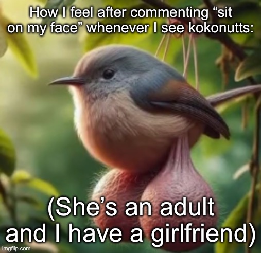 It’s some stupid thing I randomly brought back from over a year ago | How I feel after commenting “sit on my face” whenever I see kokonutts:; (She’s an adult and I have a girlfriend) | image tagged in bird with balls | made w/ Imgflip meme maker