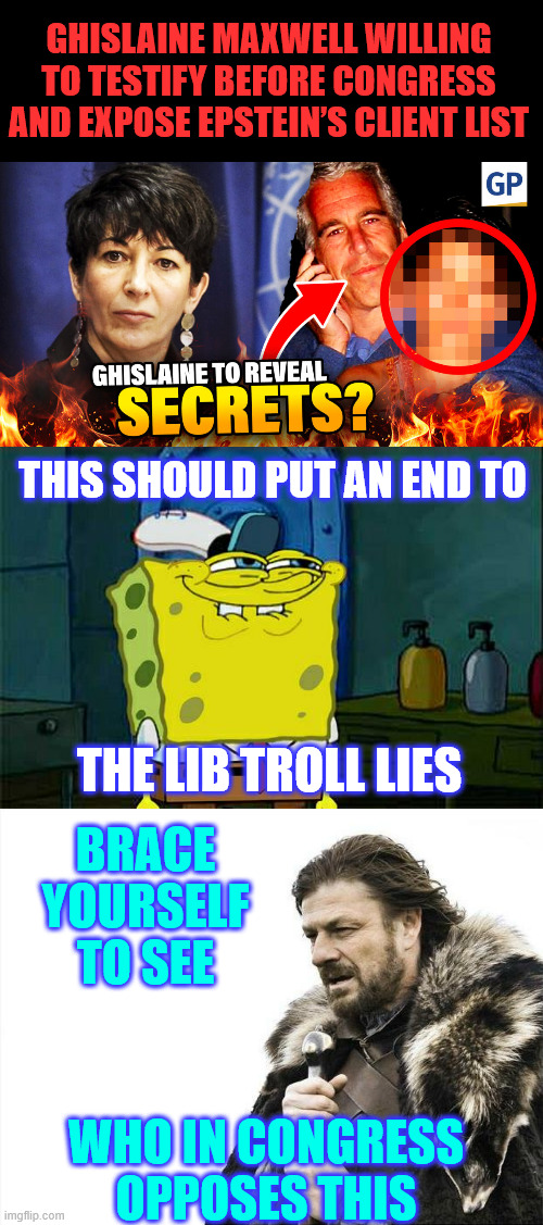 There will be members that oppose this | GHISLAINE MAXWELL WILLING TO TESTIFY BEFORE CONGRESS AND EXPOSE EPSTEIN’S CLIENT LIST; THIS SHOULD PUT AN END TO; THE LIB TROLL LIES; BRACE YOURSELF TO SEE; WHO IN CONGRESS OPPOSES THIS | image tagged in memes,don't you squidward,brace yourselves x is coming,uniparty,panic | made w/ Imgflip meme maker
