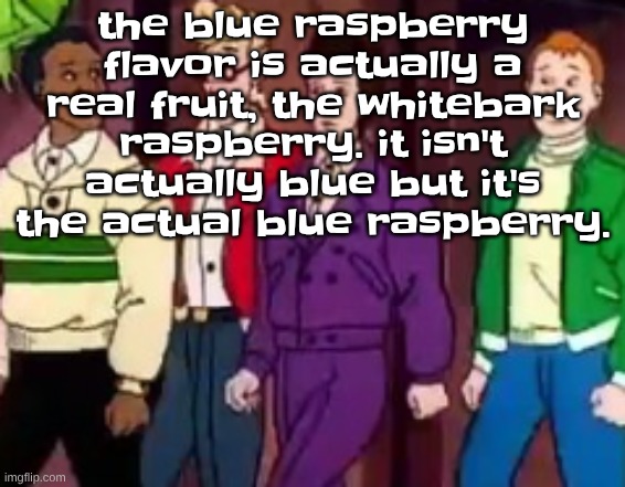 nice outfits guys | the blue raspberry flavor is actually a real fruit, the whitebark raspberry. it isn't actually blue but it's the actual blue raspberry. | image tagged in nice outfits guys | made w/ Imgflip meme maker