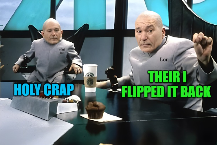 lou and mini lou | HOLY CRAP THEIR I FLIPPED IT BACK | image tagged in lou and mini lou | made w/ Imgflip meme maker