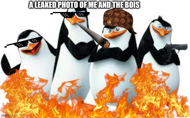 a leaked photo of me and the bois. | A LEAKED PHOTO OF ME AND THE BOIS | image tagged in kowalski skipper private and rico | made w/ Imgflip meme maker